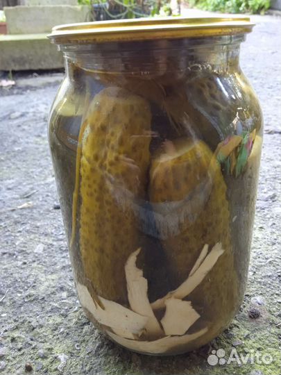Соленья