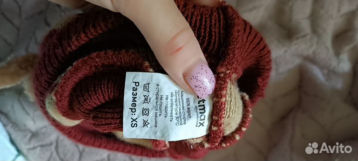 Вещи для собаки мелких пород