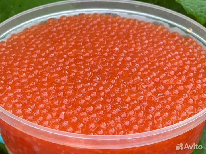 Икра красная