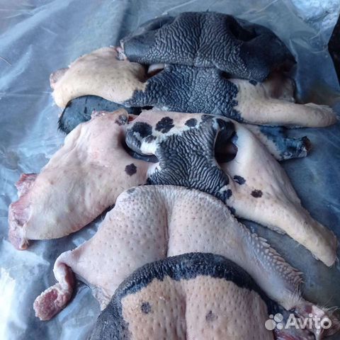 Мясо для собак