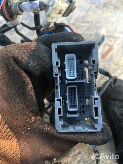 Проводка подкапотная Mazda 6 Gj