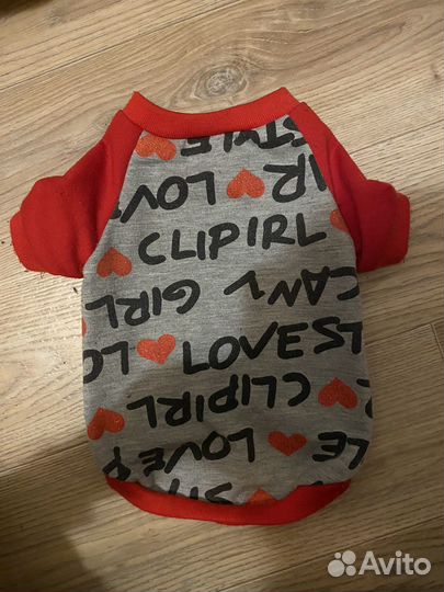 Кофты для йоркширского терьера