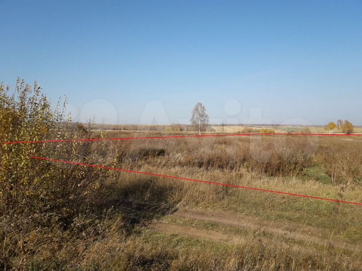 Участок 2,5 га (СНТ, ДНП)