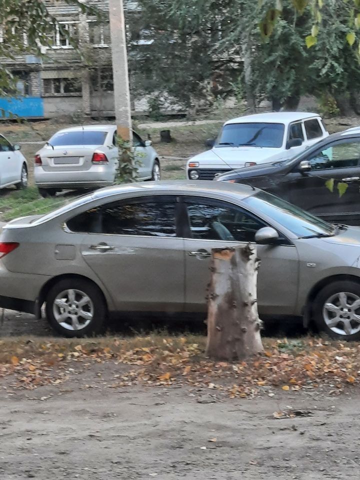 Nissan Almera: фото владельца