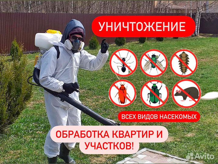 Обработка Клопы Тараканы Клещи Шершни Комары Осы,К