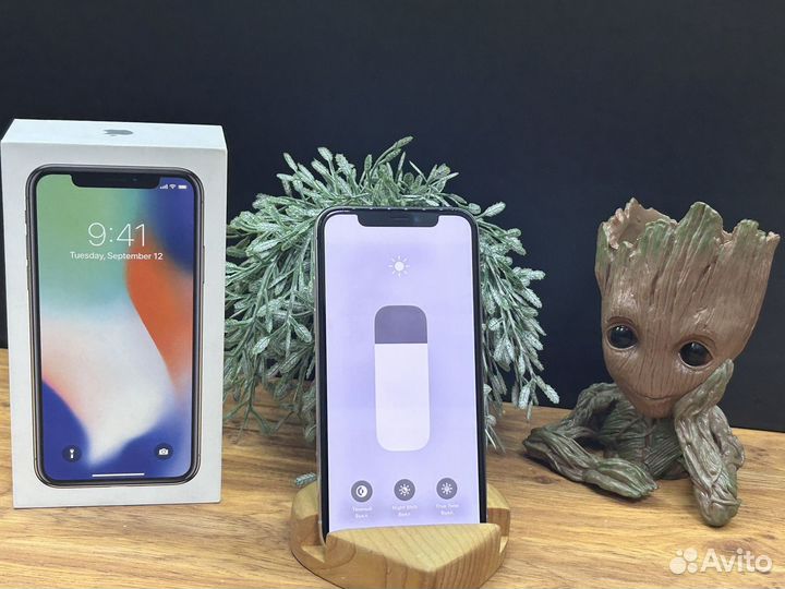 iPhone X, 64 ГБ