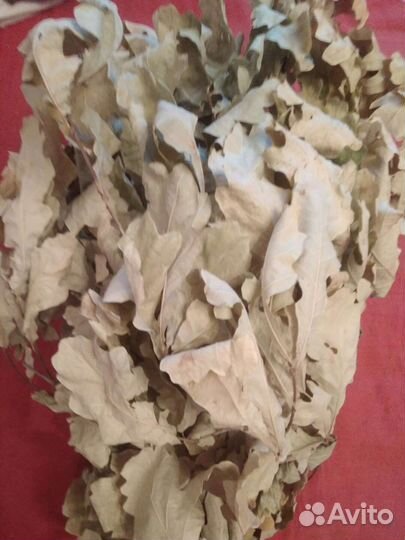 Дубовый веник для бани/сауны