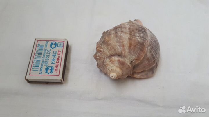 Декорации для аквариума