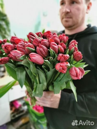 Тюльпан пионовидный Букет из тюльпанов Тюльпаны