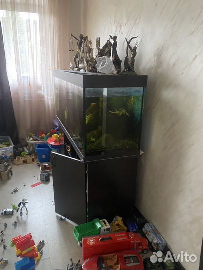 Аквариум со всем необходимым