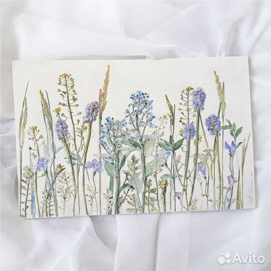 Ботанический барельеф 