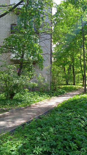 2-к. квартира, 42 м², 1/5 эт.