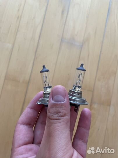 Галогеновые лампы h7, h8, h1