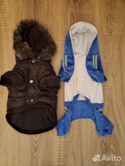 Когтерез одежда для животных