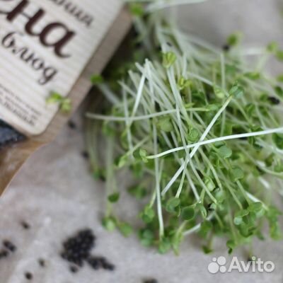 Семена для микрозелени