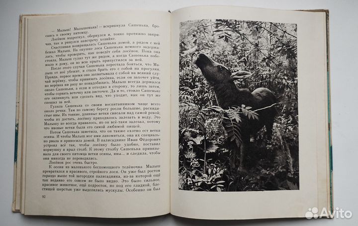 Книга В.Чаплина Малыш 1978 Книга о животных