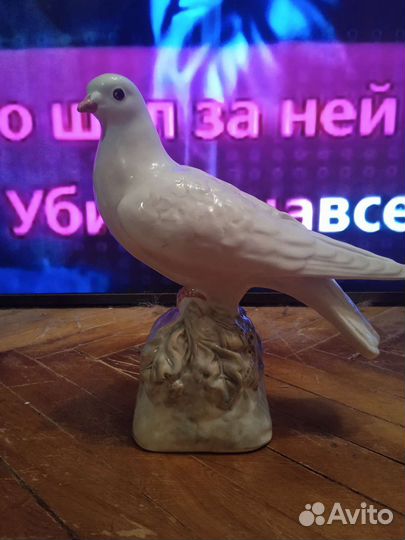 Голубь мира