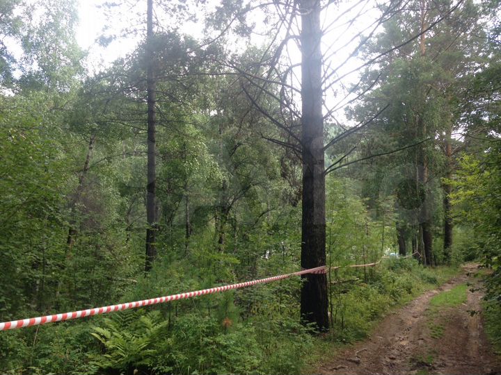 Участок 22 сот. (ИЖС)