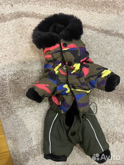 Дождевик для маленькой собаки