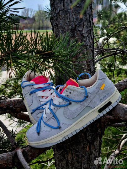Удобные кроссовки Nike Dunk Off White для мужчин