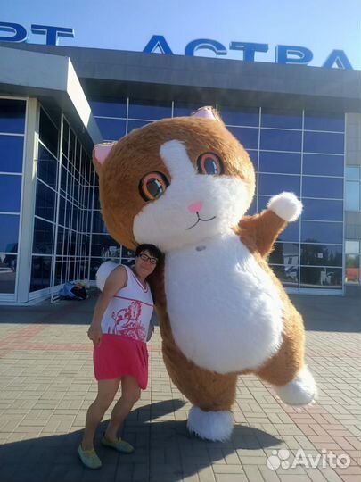 Белый Мишка поздравление,Чебурашка,Панда,Лиса,Конг