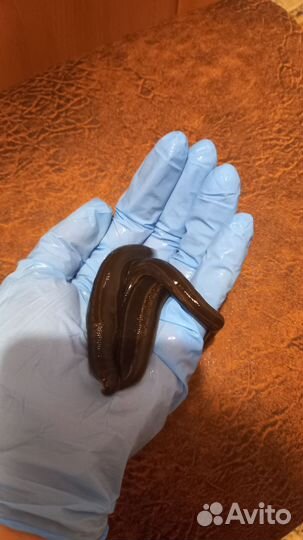 Наживка для рыбалки