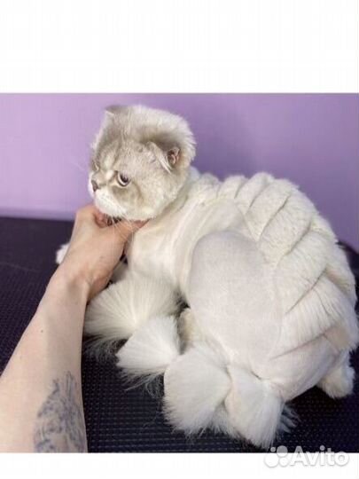 Стрижка собак и кошек (груминг)