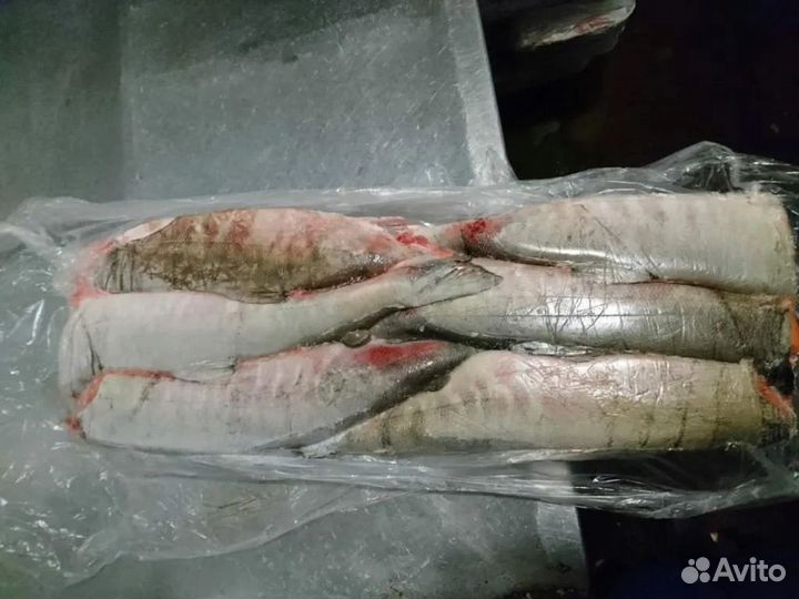 Кета свежемороженая