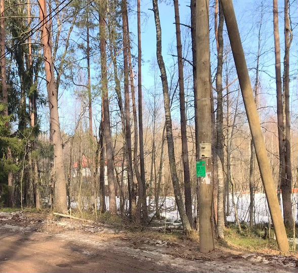 Участок 12 сот. (ИЖС)