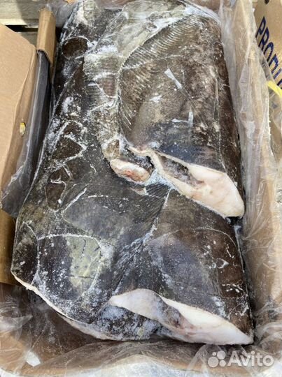 Палтус стейки