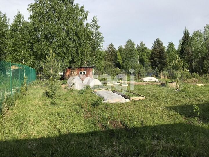 Участок 9 сот. (СНТ, ДНП)