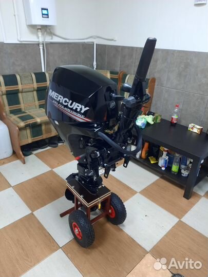 Mercury f 10 efi