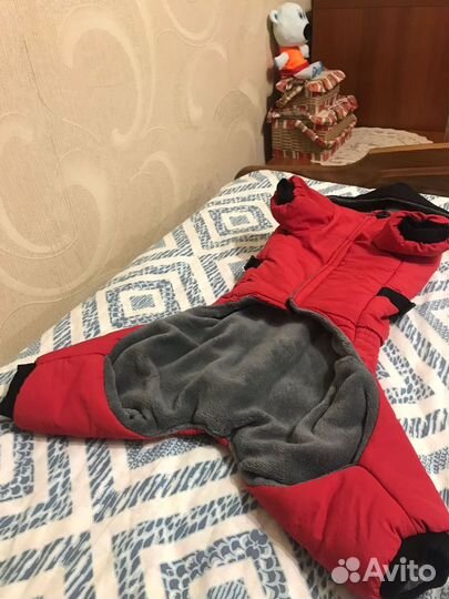 Одежда для средних собак