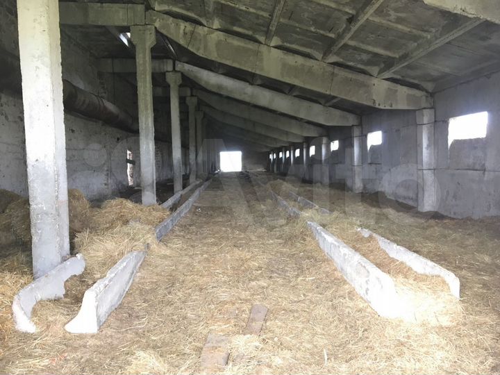 Участок 10 га (СНТ, ДНП)