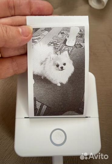 Новый Мини принтер для наклеек