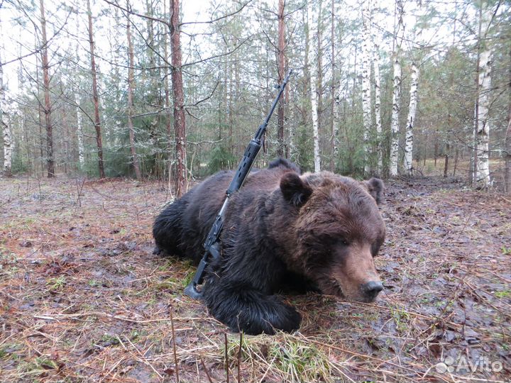 Услуги по организации рыбалки и охоты