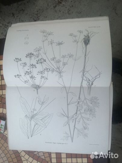 Редкие антикварные книги, 1904 год