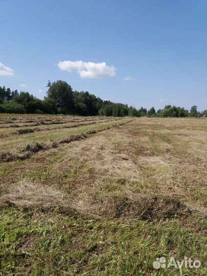 Сено в тюках