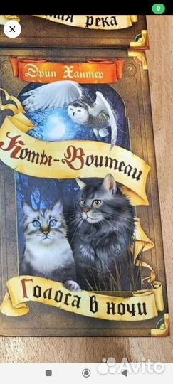 Голоса в ночи