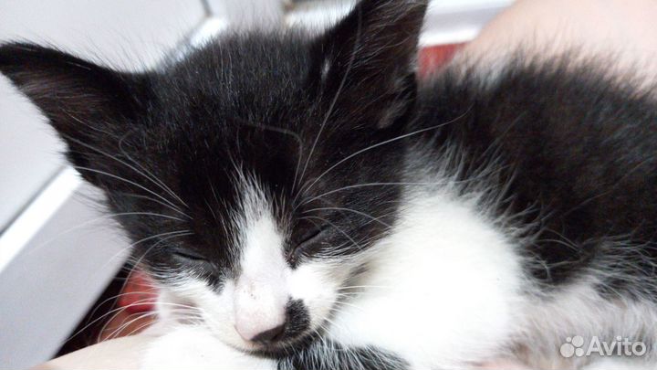 Мальчик 1 месяц