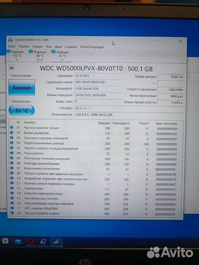 Жесткий диск для ноутбука 500 гб wd