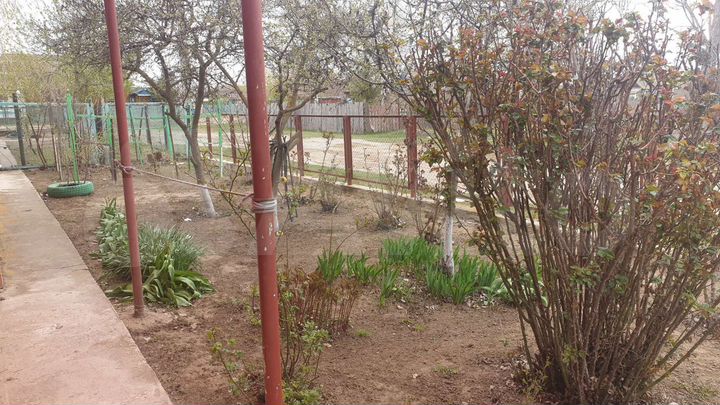 Дом 58,9 м² на участке 6 сот.