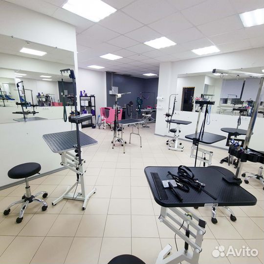 Обучение профессии грумер. Курсы груминга