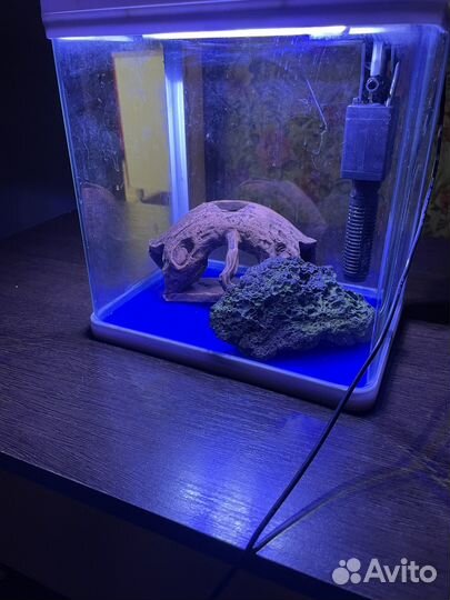 Мини аквариум barbus