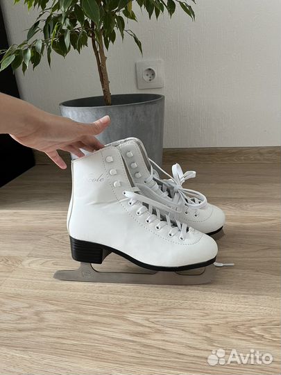 Коньки Nordway Nicole 37