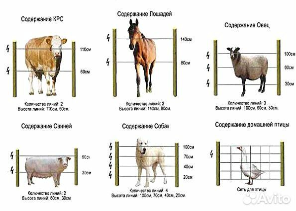 Электропастух (электроизгородь)