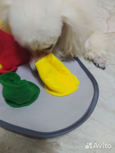 Нюхательный коврик для собак