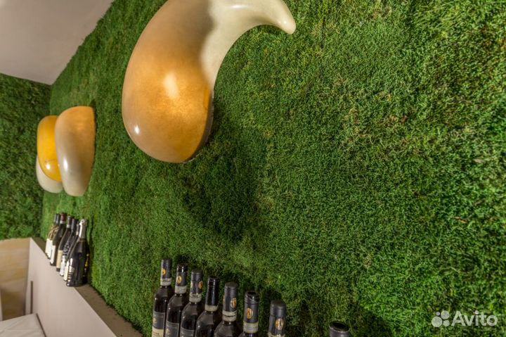 Стабилизированный мох Пласты