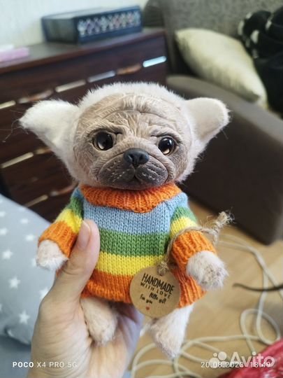 Собаки мопс и бульдог