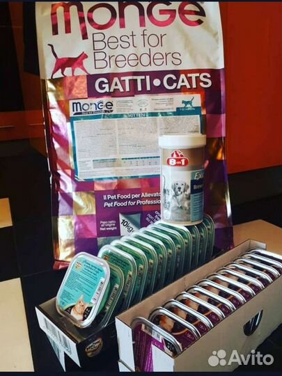 Сухой корм monge для котят